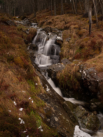 20110216-Glen Affric-P2160663