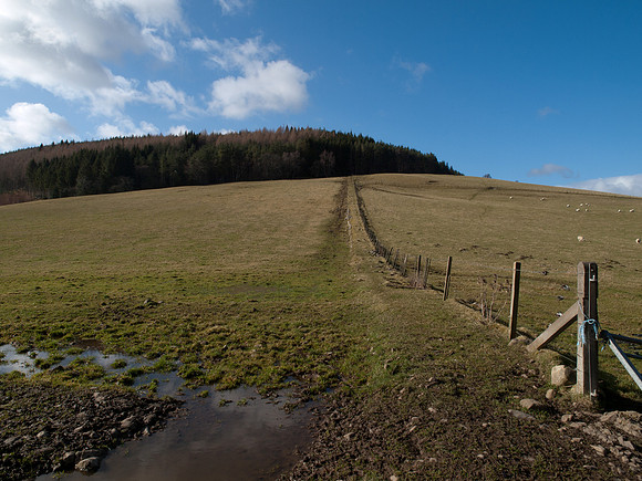 20110227-Craig Monie Woods-P2270912