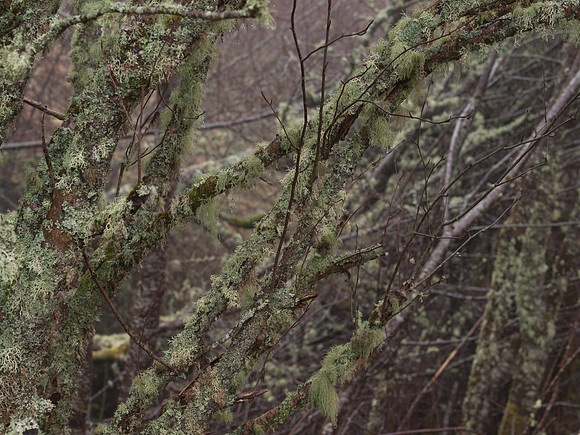 20110214-Grotaig-P2140549