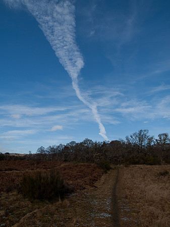 20110215-Kilmorack-P2150642