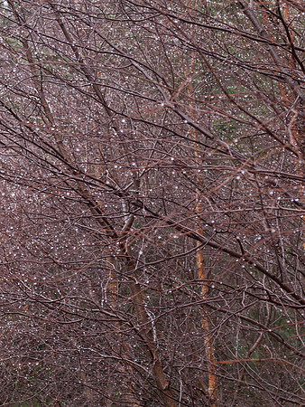 20110214-Grotaig-P2140561