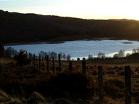 20110210-Abriachan-P2100440