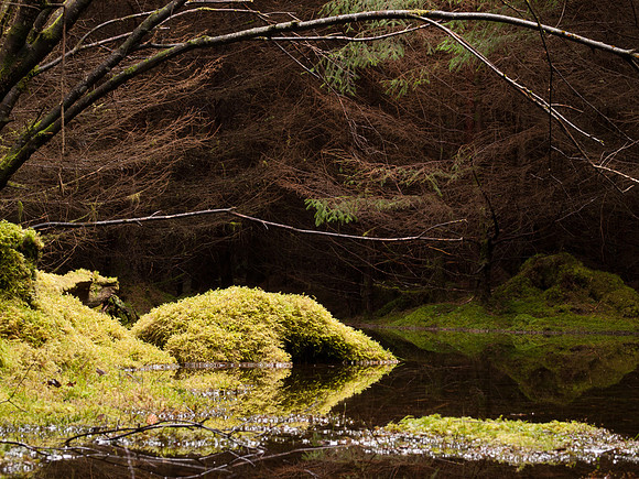 20110214-Grotaig-P2140575