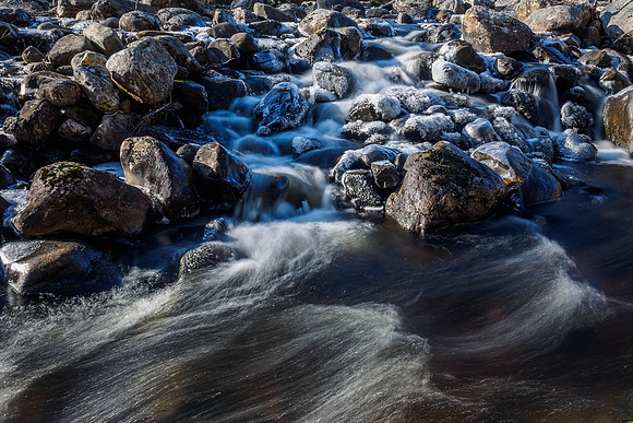 Glen Orrin