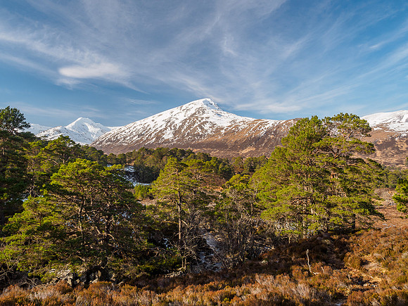 Beautiful Glen Affric