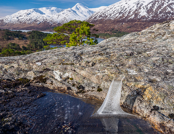 Glorious Glen Affric