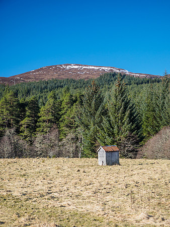 Glen Orrin