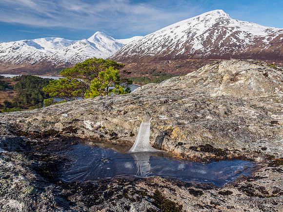 Glorious Glen Affric