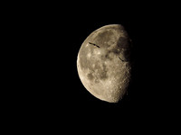Sleepy Moon [1802017]