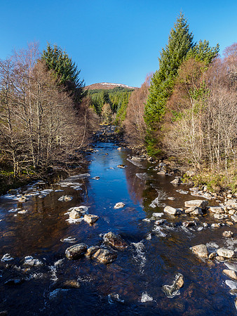 Glen Orrin
