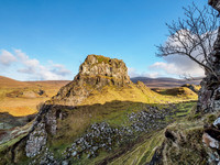 Faerie Glen [1802004]