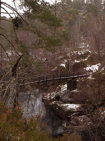 20110216-Glen Affric-P2160658