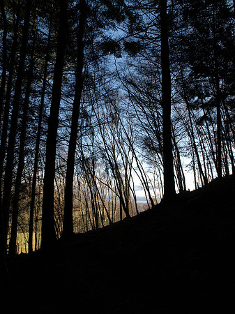 20110217-Cnoc a' Bhuachaille-P2170680
