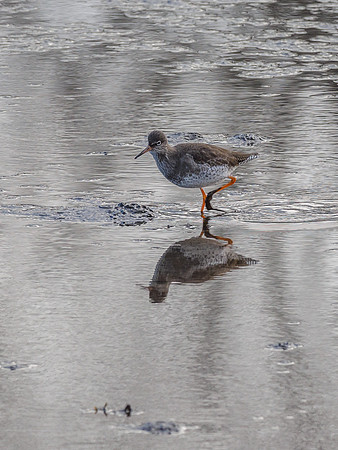 20180220-Inverness-PEM11484