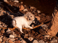 Urquhart Bay Wood