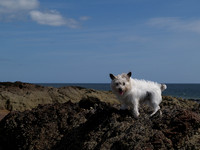 Rosemarkie Beach