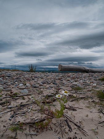 Findhorn Beach and Strange Sky