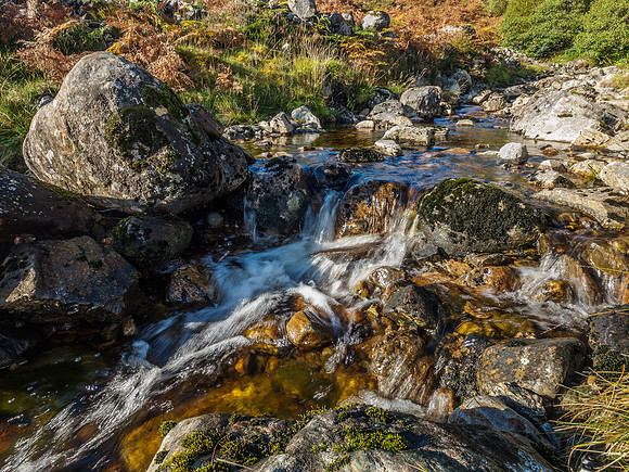 20141012-Glen Cannich-RA125974