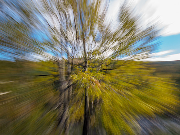 Aspen Blur 3