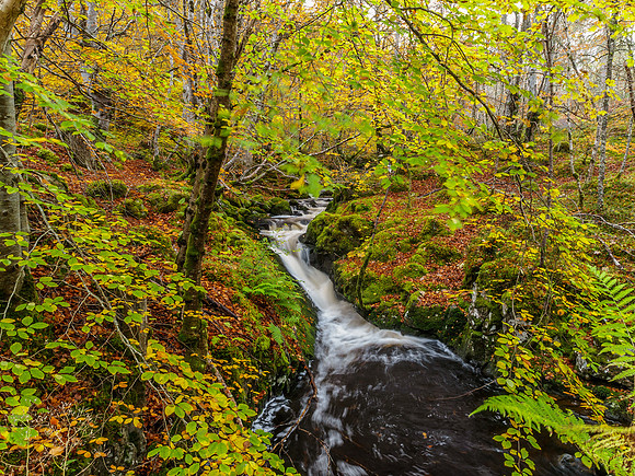 20141024-Eskadale Burn-RA246151
