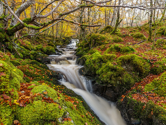 20141024-Eskadale Burn-RA246160