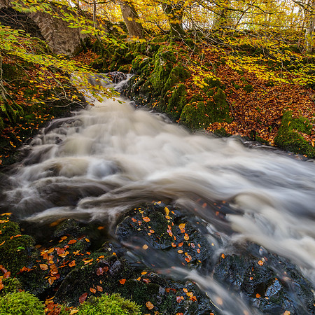 20141024-Eskadale Burn-RA246185