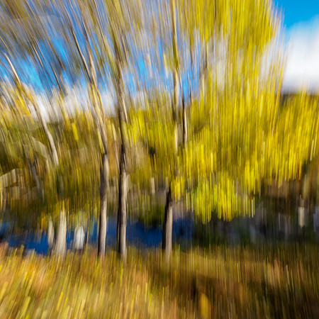 Aspen Blur 2