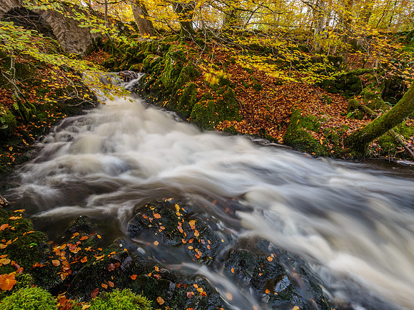 20141024-Eskadale Burn-RA246187