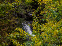 River Enrick