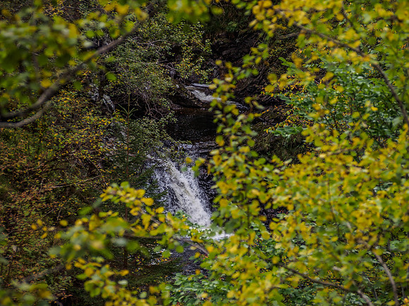 River Enrick