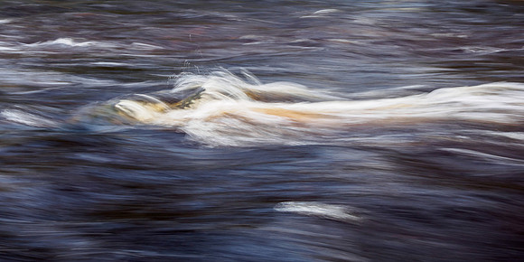 Flow