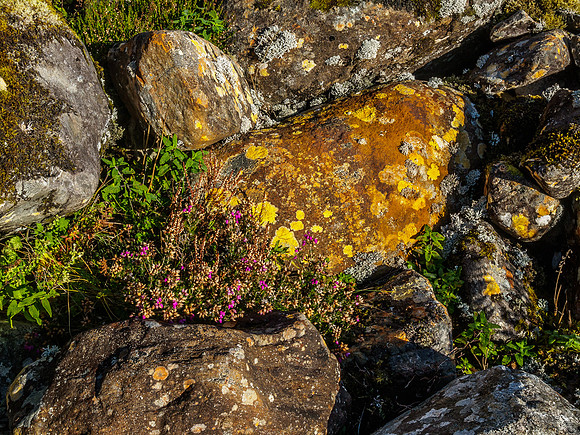 20141012-Glen Cannich-RA125977