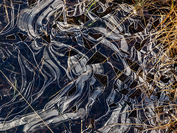 20140418-Glen Affric-R4181495