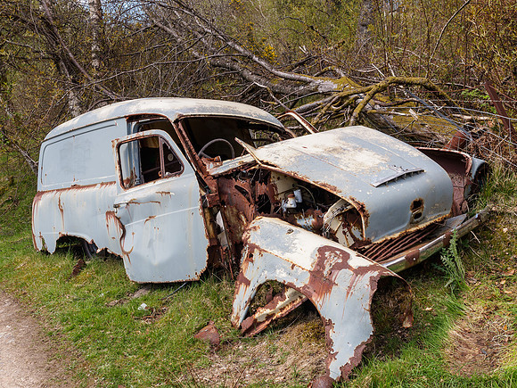 Monessie Morris Van Wreck