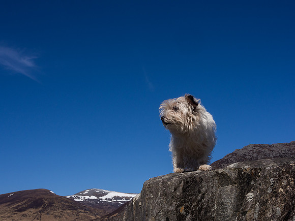 Mij on Lookout