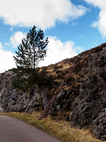 Mystery Ladder