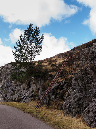 Mystery Ladder