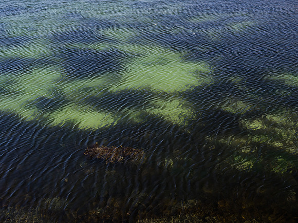 Ripples