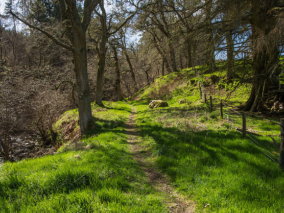 Inviting Path