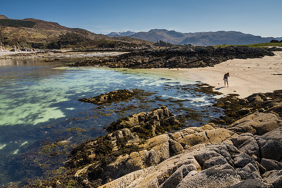 Shell Hunter