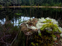 Lochan Torr an Tuill