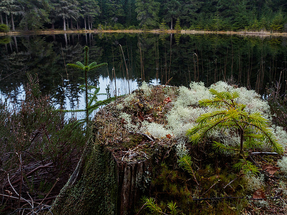 Lochan Torr an Tuill