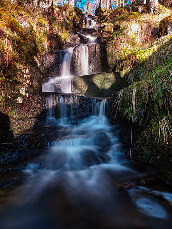 20140418-Glen Affric-R4181531