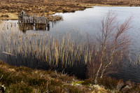 Boat House Remains 1