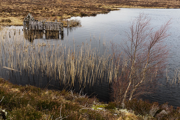 Boat House Remains 1