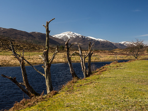 River Cannich