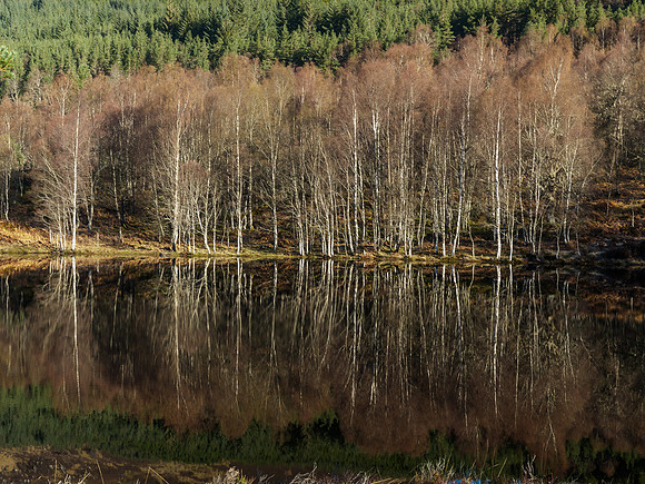 Loch Beinn a'Mheadhoin Reflections 6