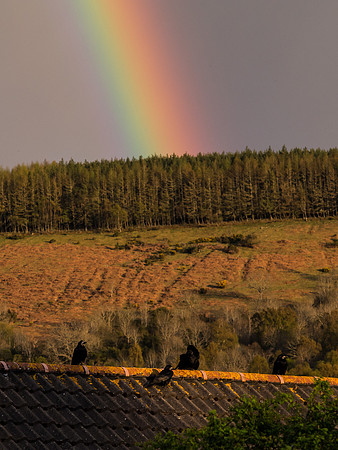 Rainbow 1
