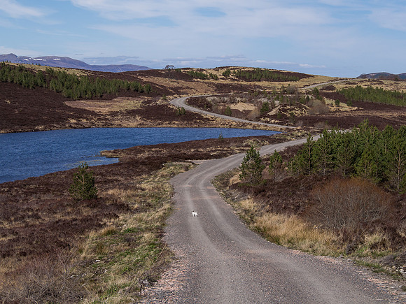 Loch Comhnard