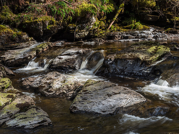 River Enrick